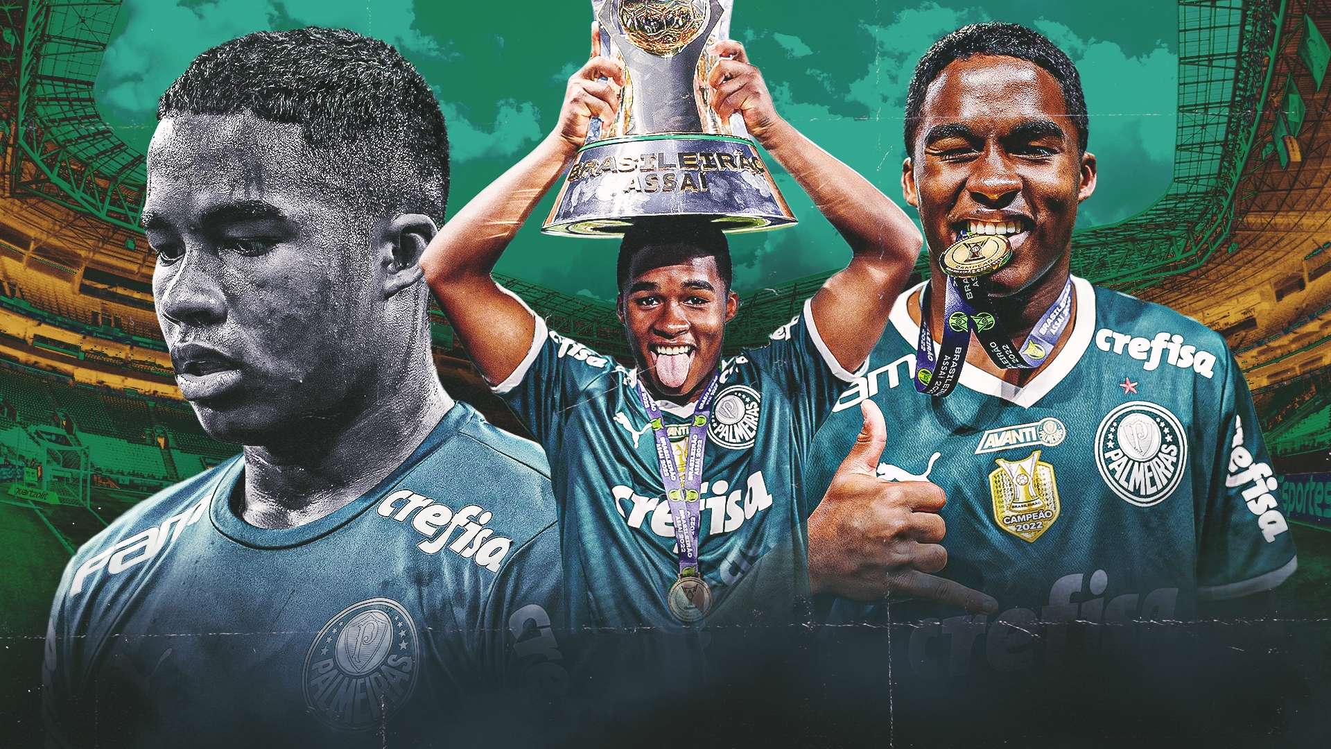 不仅增强了 不仅增强了