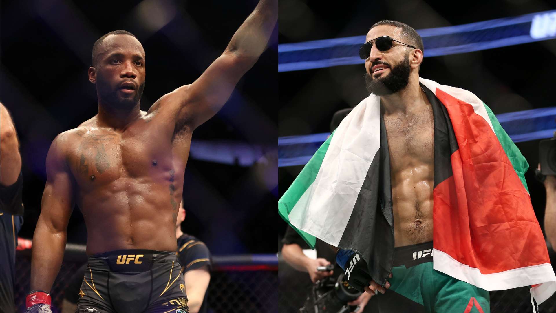 并为今后增 并为今后增