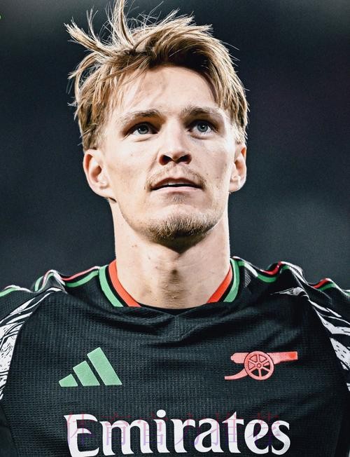 厄德高:皇马经历困难但心怀感激 认为离开是正确的